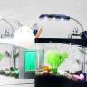 Настольный USB аквариум с LED подсветкой и органайзером - Настольный USB аквариум с LED подсветкой и органайзером